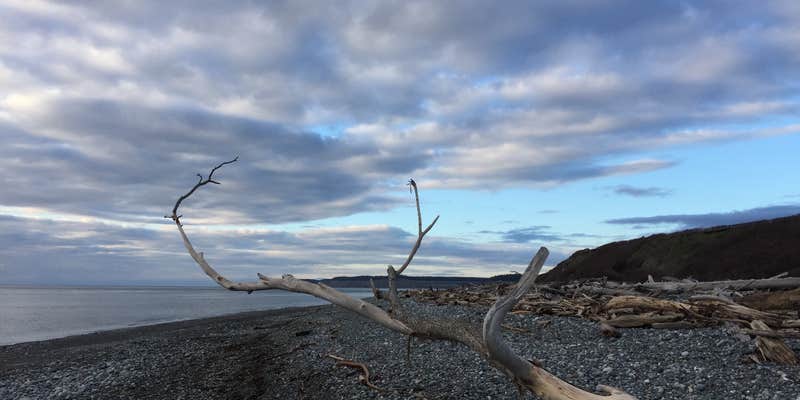 Camper submitted image from Fort Casey Campground