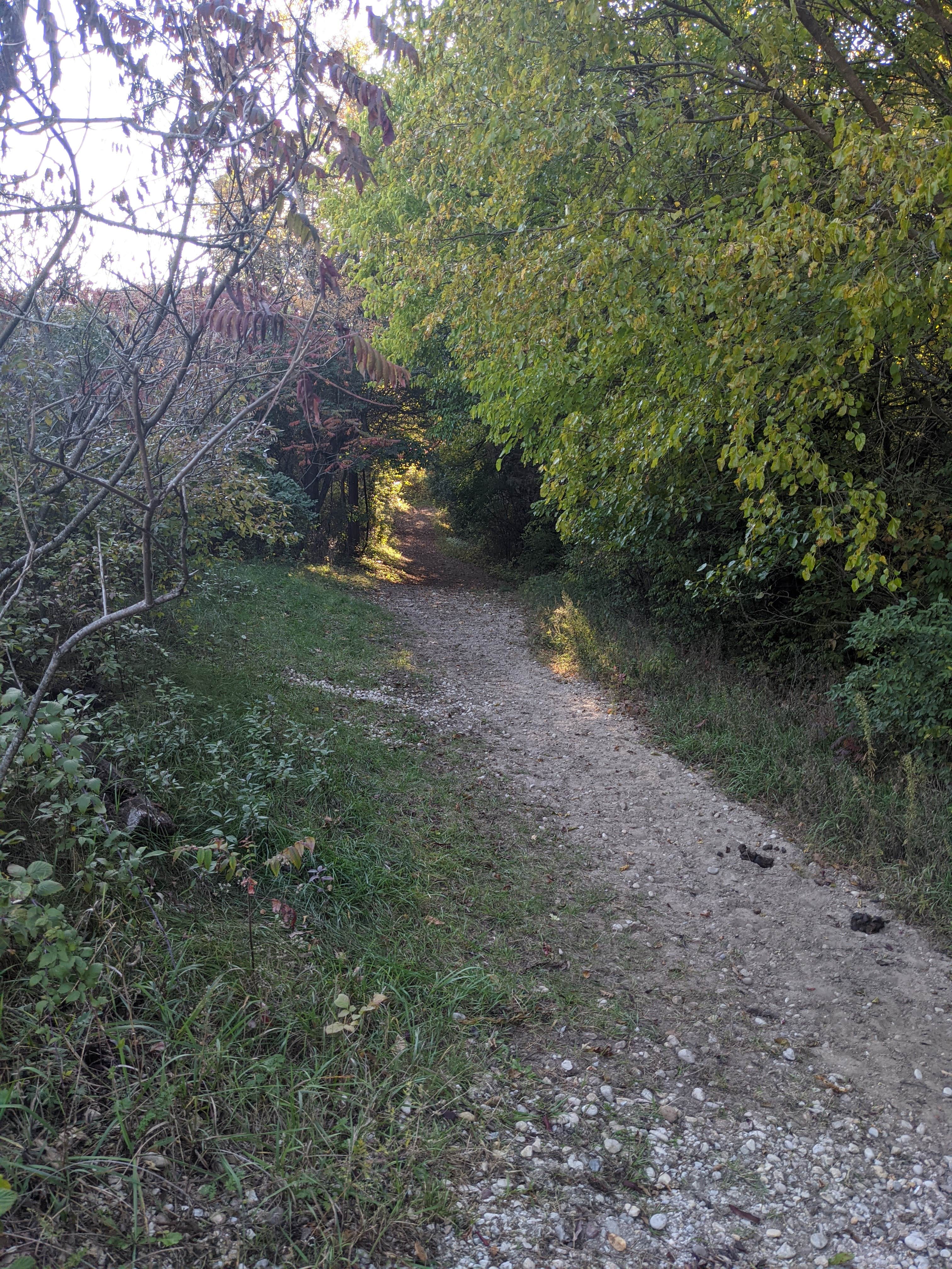 Camper-submitted photo at Southern Unit Horseriders Campground — Kettle Moraine State Forest-Southern Unit near Delafield, WI