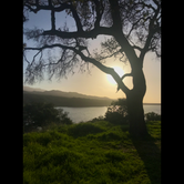 Review photo of Cachuma Lake Recreation Area by Kae O., May 25, 2018