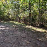 Review photo of Sandstone Ridge Campground — Mirror Lake State Park by Josh F., December 3, 2020