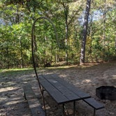 Review photo of Sandstone Ridge Campground — Mirror Lake State Park by Josh F., December 3, 2020