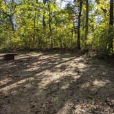 Review photo of Sandstone Ridge Campground — Mirror Lake State Park by Josh F., December 3, 2020