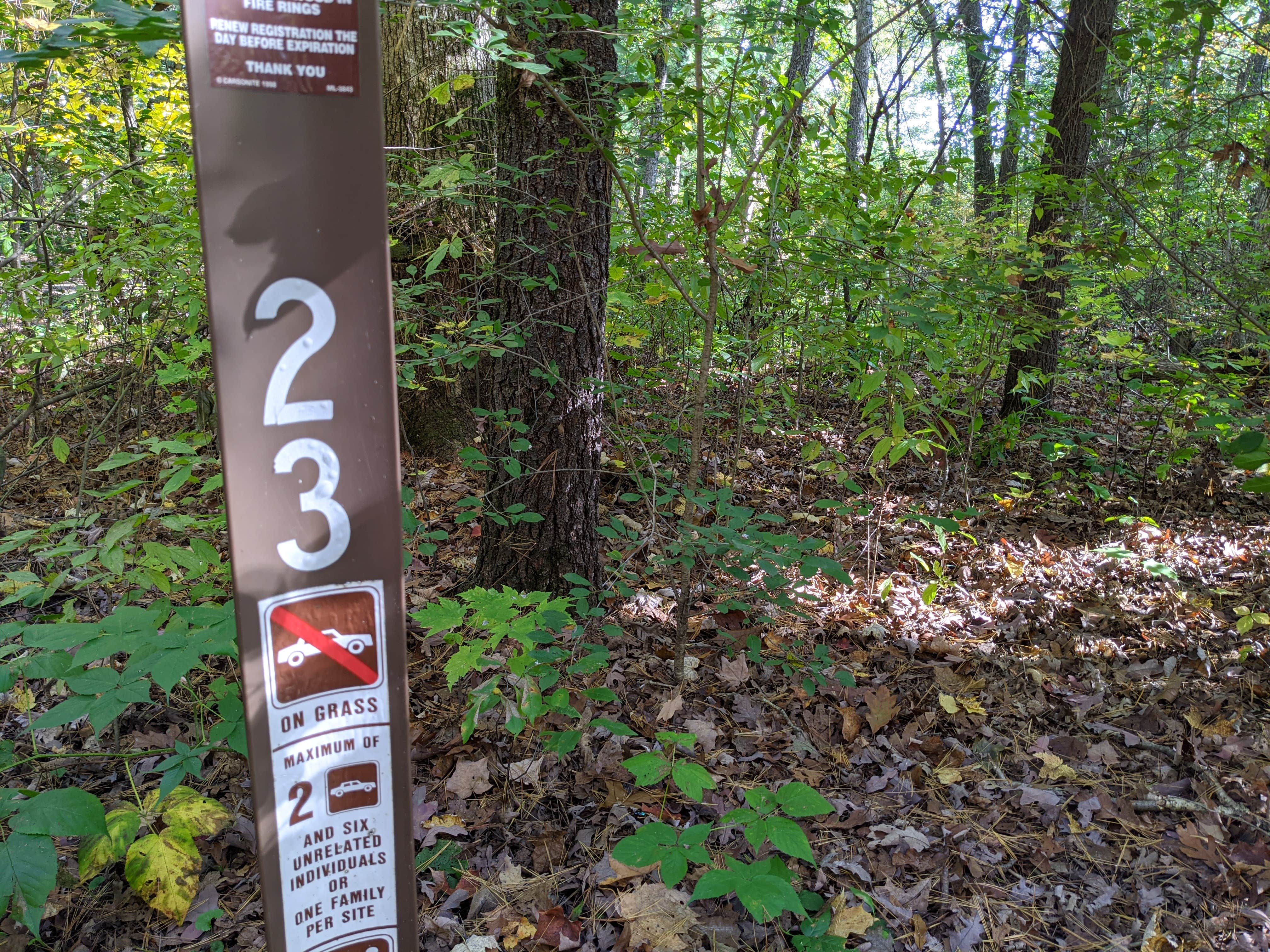 Camper submitted image from Sandstone Ridge Campground — Mirror Lake State Park - 5