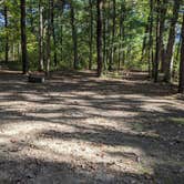 Review photo of Sandstone Ridge Campground — Mirror Lake State Park by Josh F., December 3, 2020