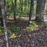 Review photo of Sandstone Ridge Campground — Mirror Lake State Park by Josh F., December 3, 2020