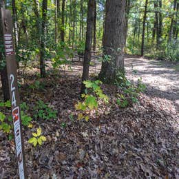 Mirror Lake State Park - Sandstone Ridge Campground