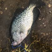 Review photo of Cachuma Lake Recreation Area by Kae O., May 25, 2018