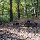 Review photo of Sandstone Ridge Campground — Mirror Lake State Park by Josh F., December 3, 2020