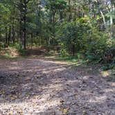 Review photo of Sandstone Ridge Campground — Mirror Lake State Park by Josh F., December 3, 2020