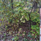 Review photo of Sandstone Ridge Campground — Mirror Lake State Park by Josh F., December 3, 2020