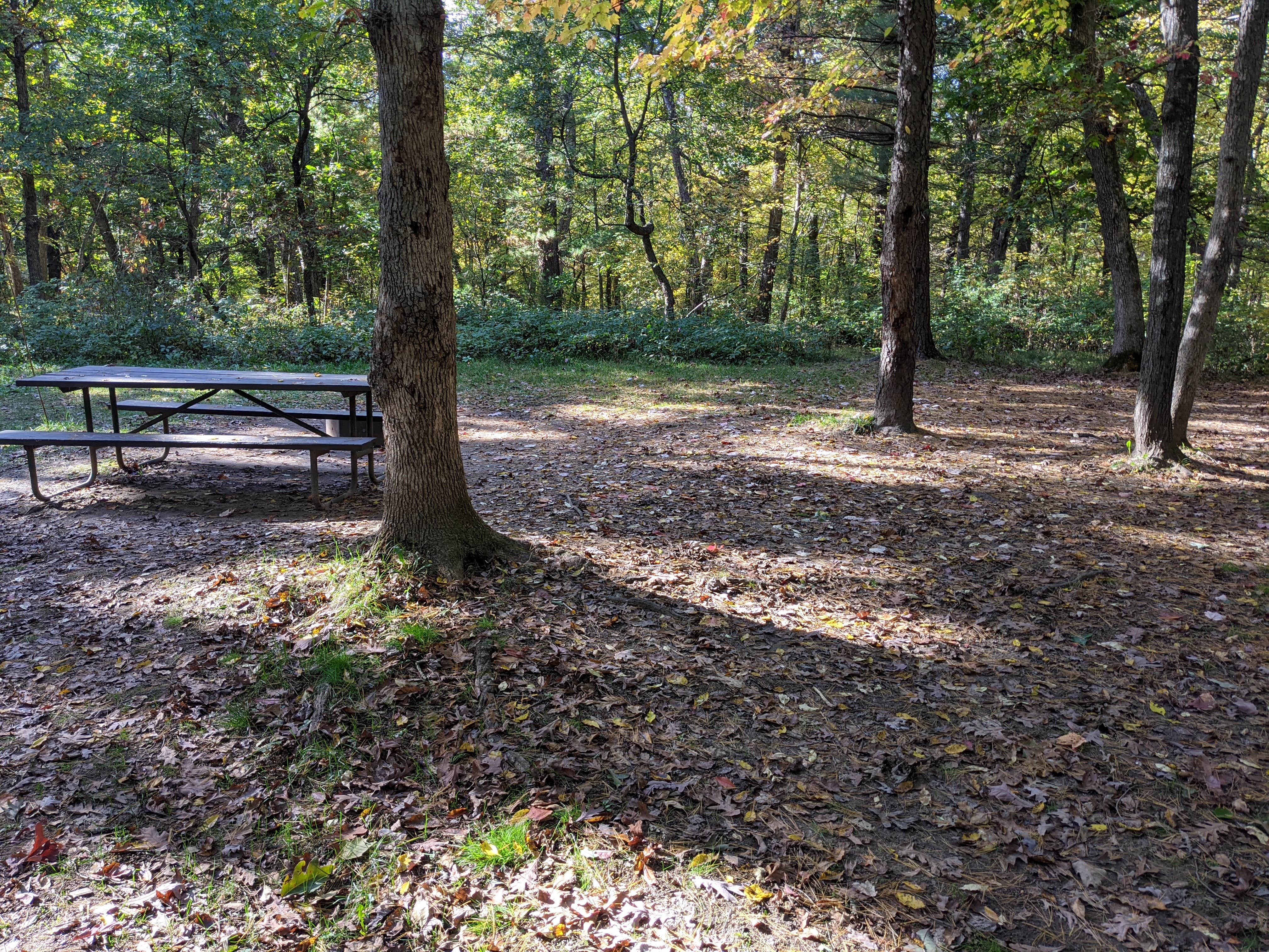 Camper-submitted photo at Sandstone Ridge Campground — Mirror Lake State Park near Portage, WI