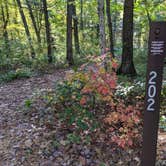 Review photo of Sandstone Ridge Campground — Mirror Lake State Park by Josh F., December 3, 2020