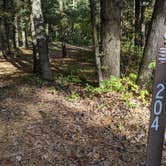 Review photo of Sandstone Ridge Campground — Mirror Lake State Park by Josh F., December 3, 2020