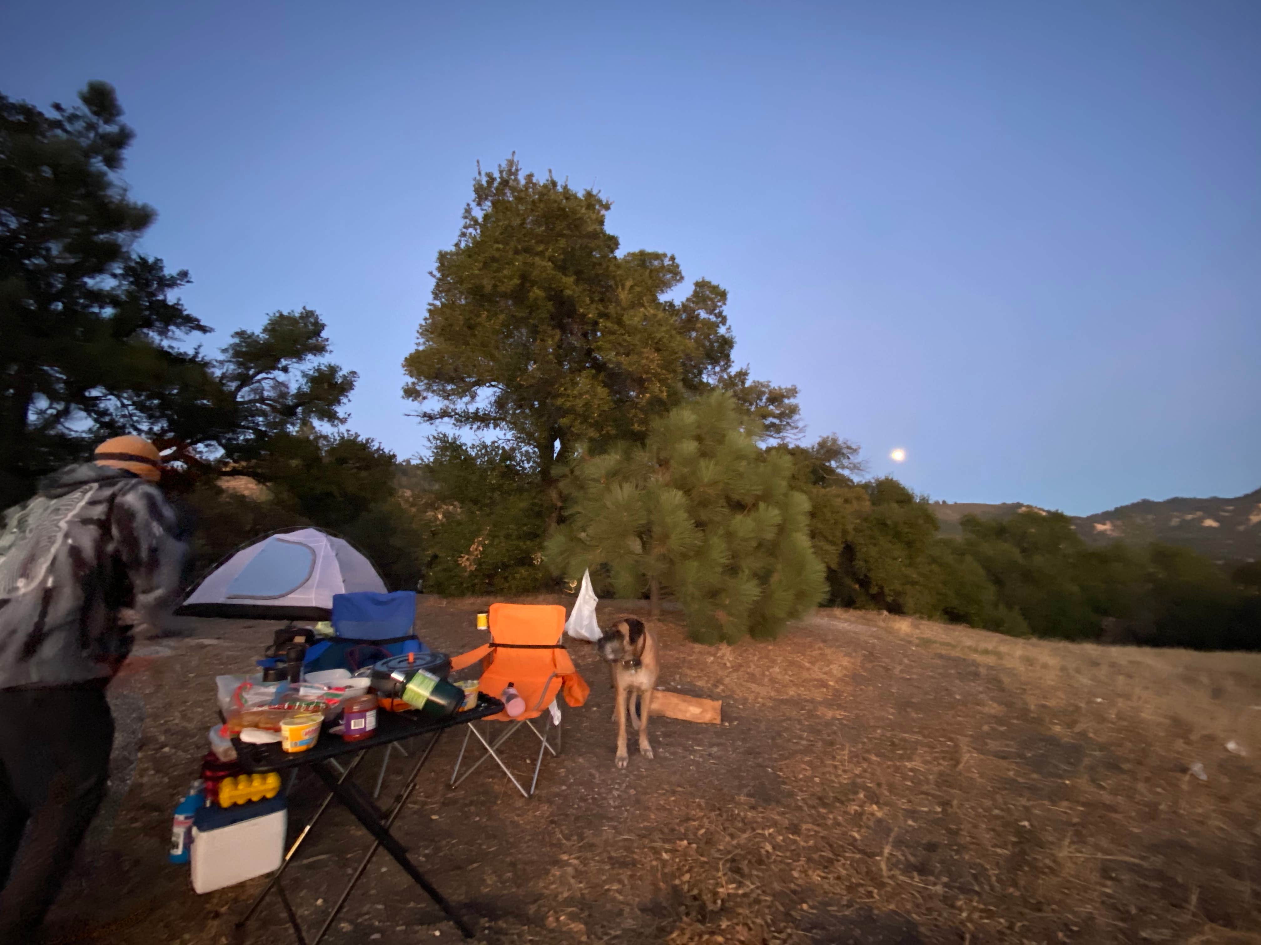 Bailey A.'s photo of camping with pets at Los Padres National Forest Figueroa Campground near Santa Maria, CA