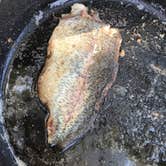 Review photo of Cachuma Lake Recreation Area by Kae O., May 25, 2018