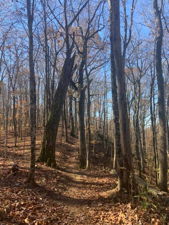 Camper-submitted photo at Monte Sano State Park Campground in Alabama