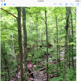 Review photo of Carter Caves State Resort Park by Stephanie W., May 25, 2018