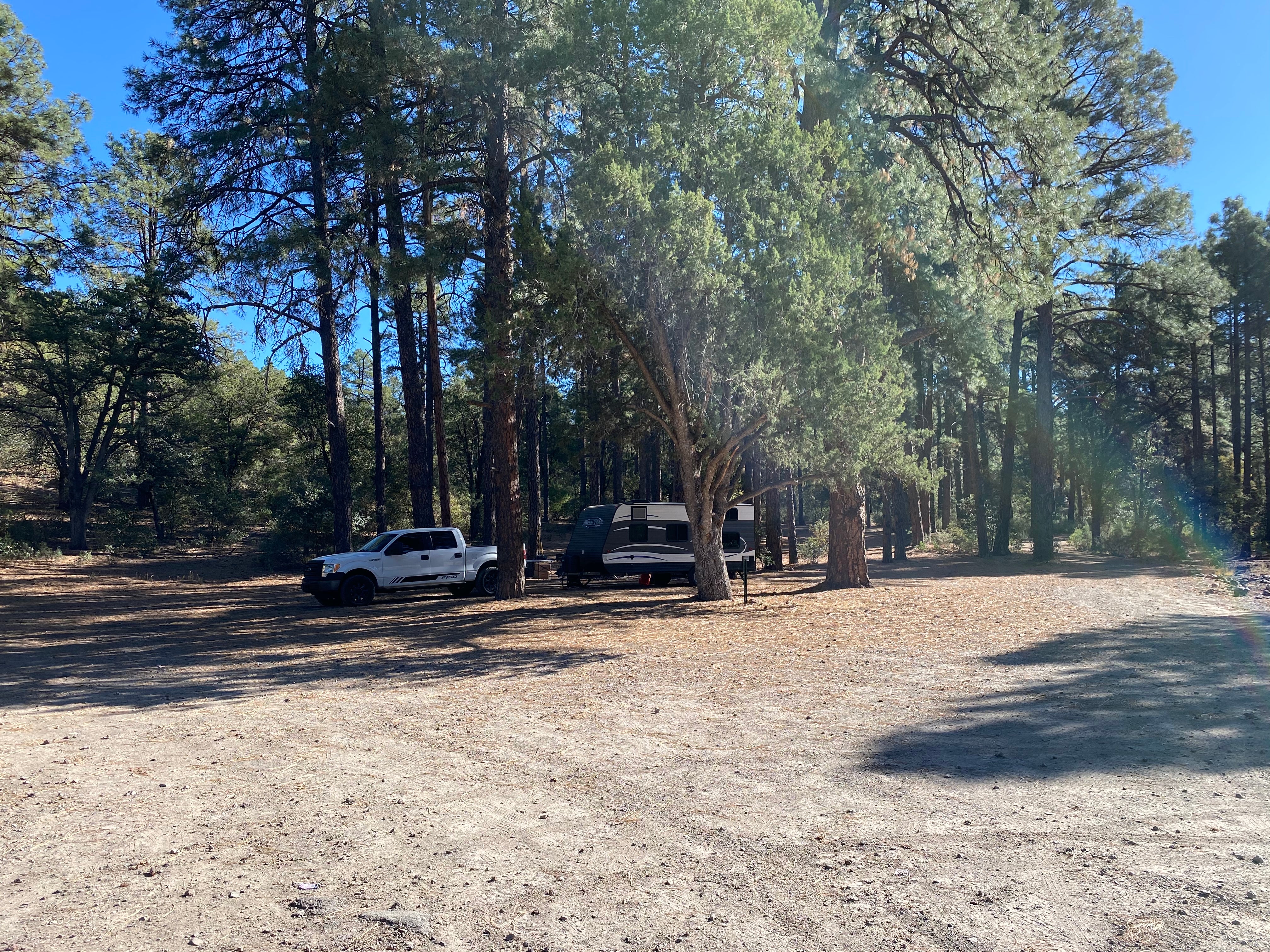 Camper submitted image from Black Jack Campground - 1