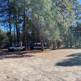 Review photo of Black Jack Campground by Justin G., December 4, 2020