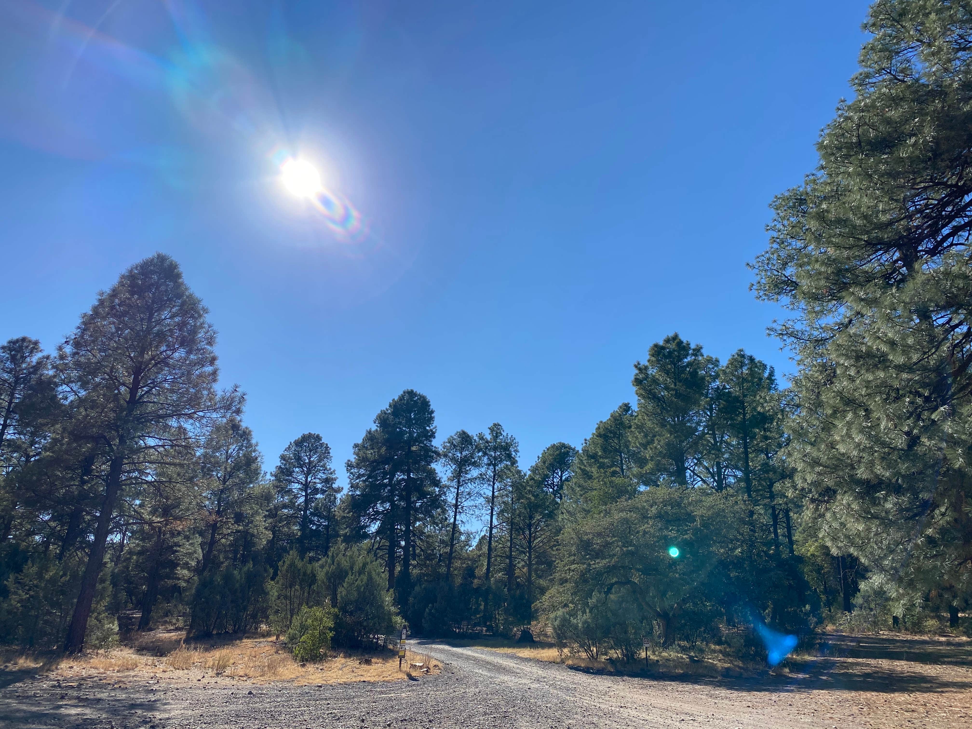 Camper-submitted photo at Black Jack Campground near Morenci, AZ
