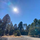 Review photo of Black Jack Campground by Justin G., December 4, 2020