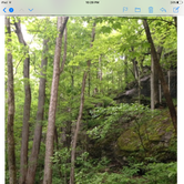 Review photo of Carter Caves State Resort Park by Stephanie W., May 25, 2018