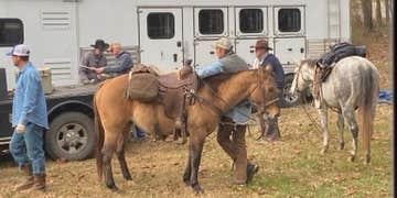 Camper submitted image from Wranglers Campground