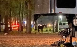 Tessa C.'s photo at Wranglers Campground near Barkley Lake