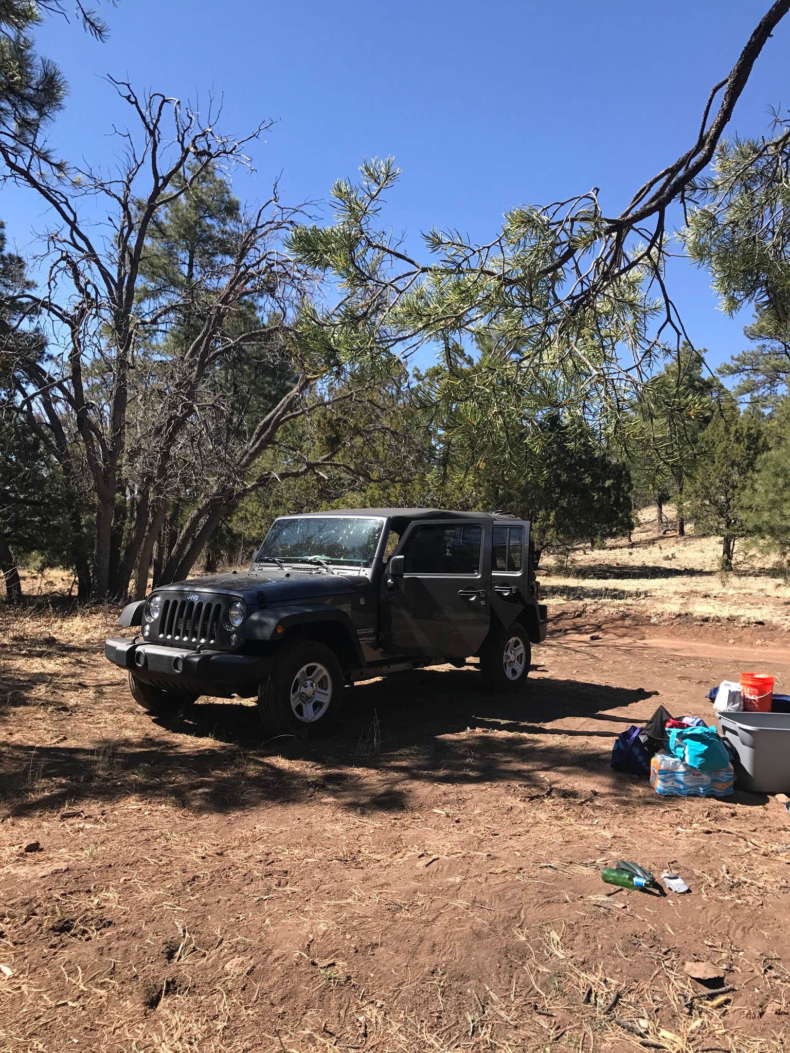 Potato Patch Campground Camp verde, AZ