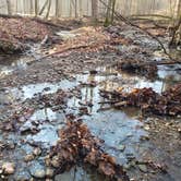 Review photo of Blackwell Campground — Hoosier National Forest by Kelly G., December 4, 2020