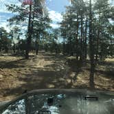 Review photo of Potato Patch Campground by Stephanie I., May 25, 2018