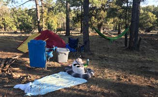 Stephanie I.'s photo at Potato Patch Campground near Paulden, AZ