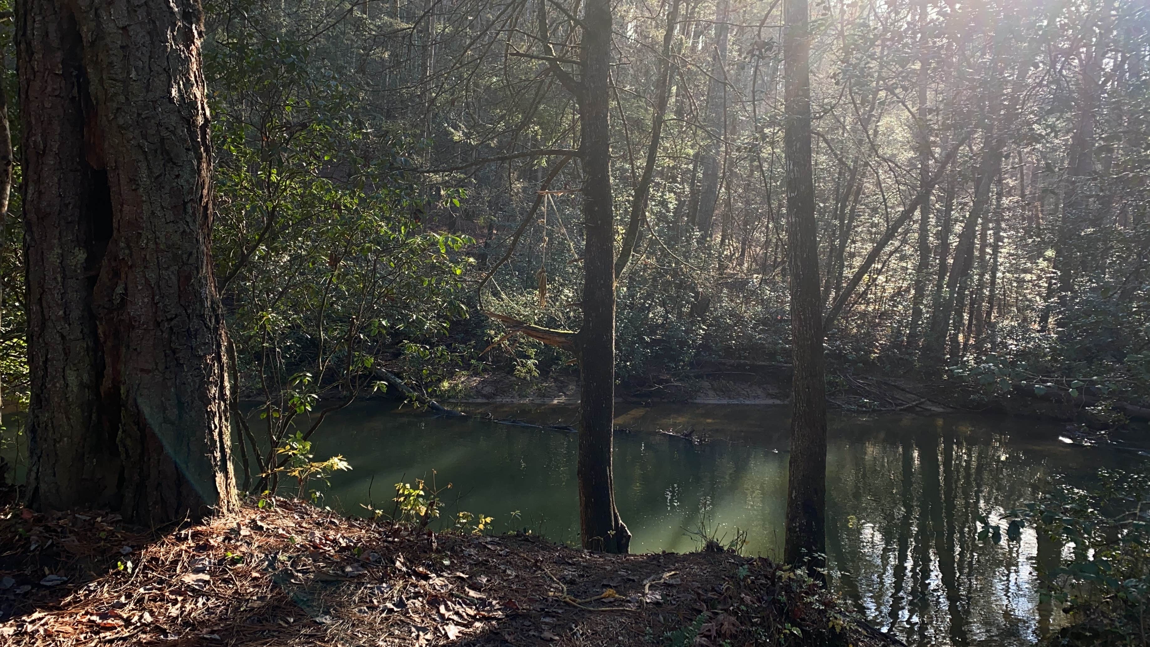 Camper-submitted photo at Grapevine near Long Creek, SC