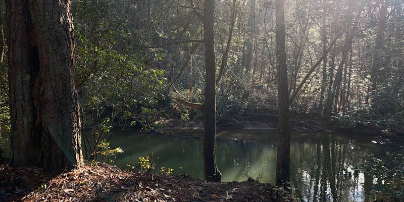 Camper submitted image from Grapevine