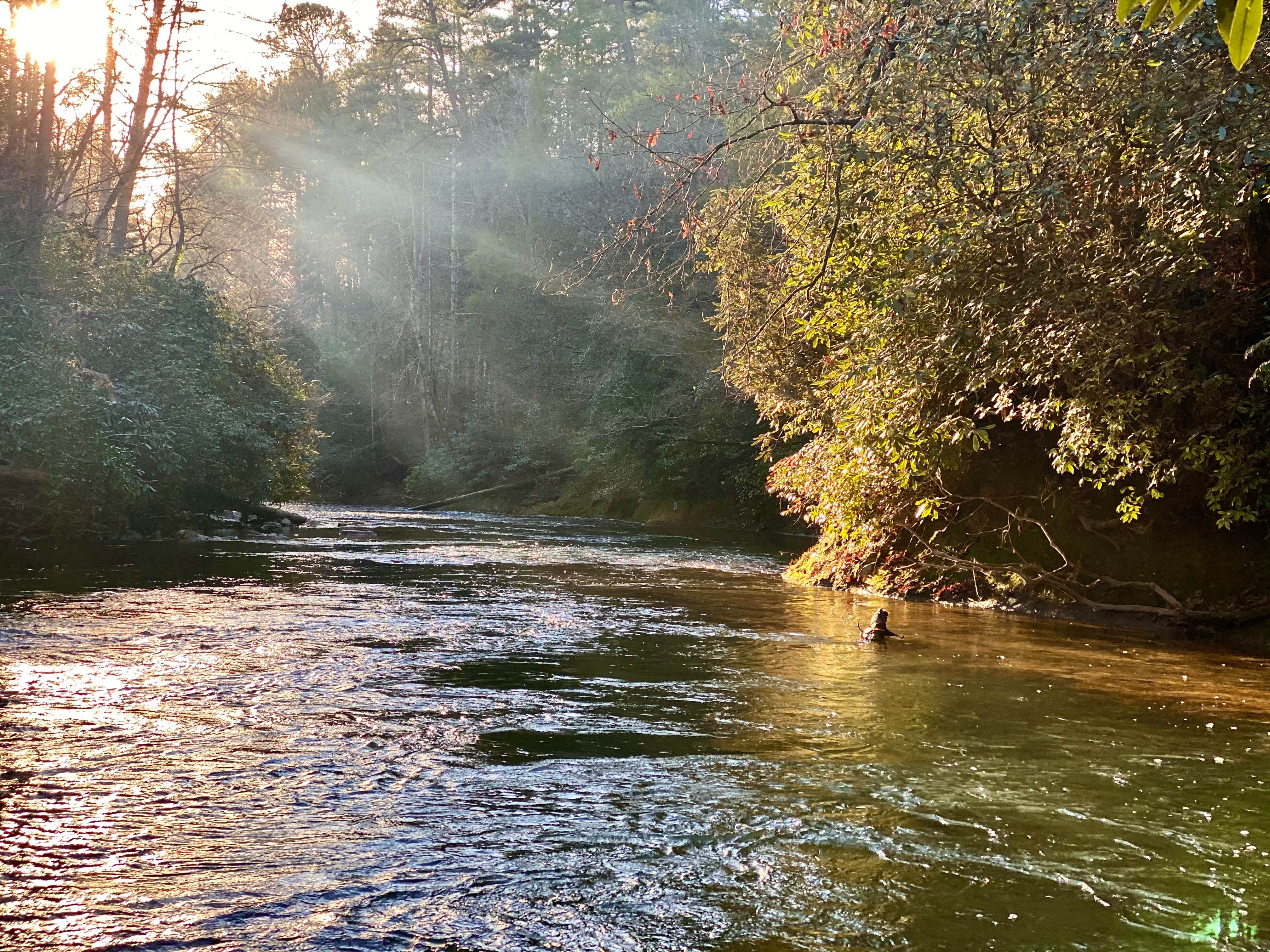 Camper-submitted photo at Grapevine near Long Creek, SC