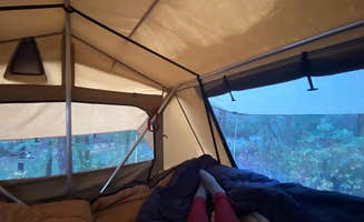 Cheryl M.'s photo at Grapevine near Long Creek, SC