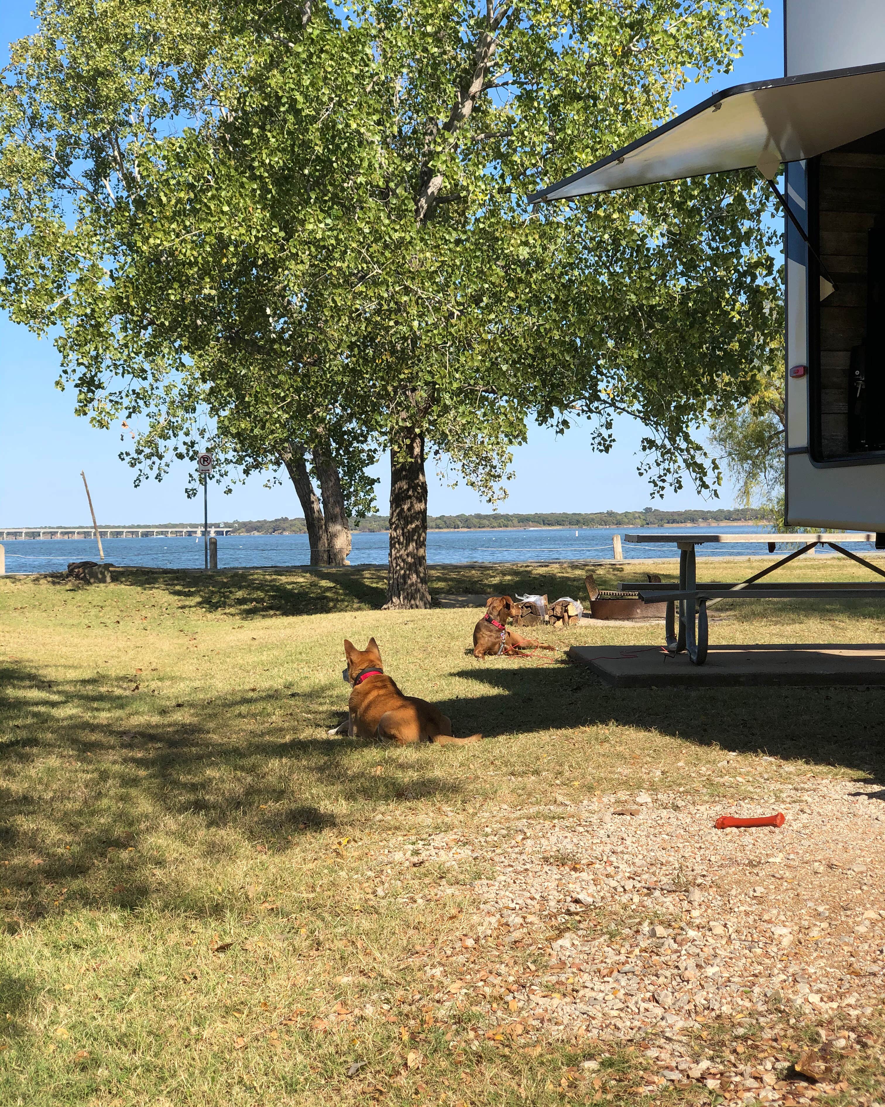 Camper-submitted photo at Willow Grove Park near Addison, TX
