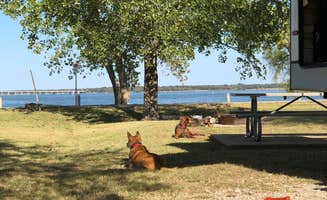 Mia D.'s photo of camping with pets at Willow Grove Park near Fort Worth, TX