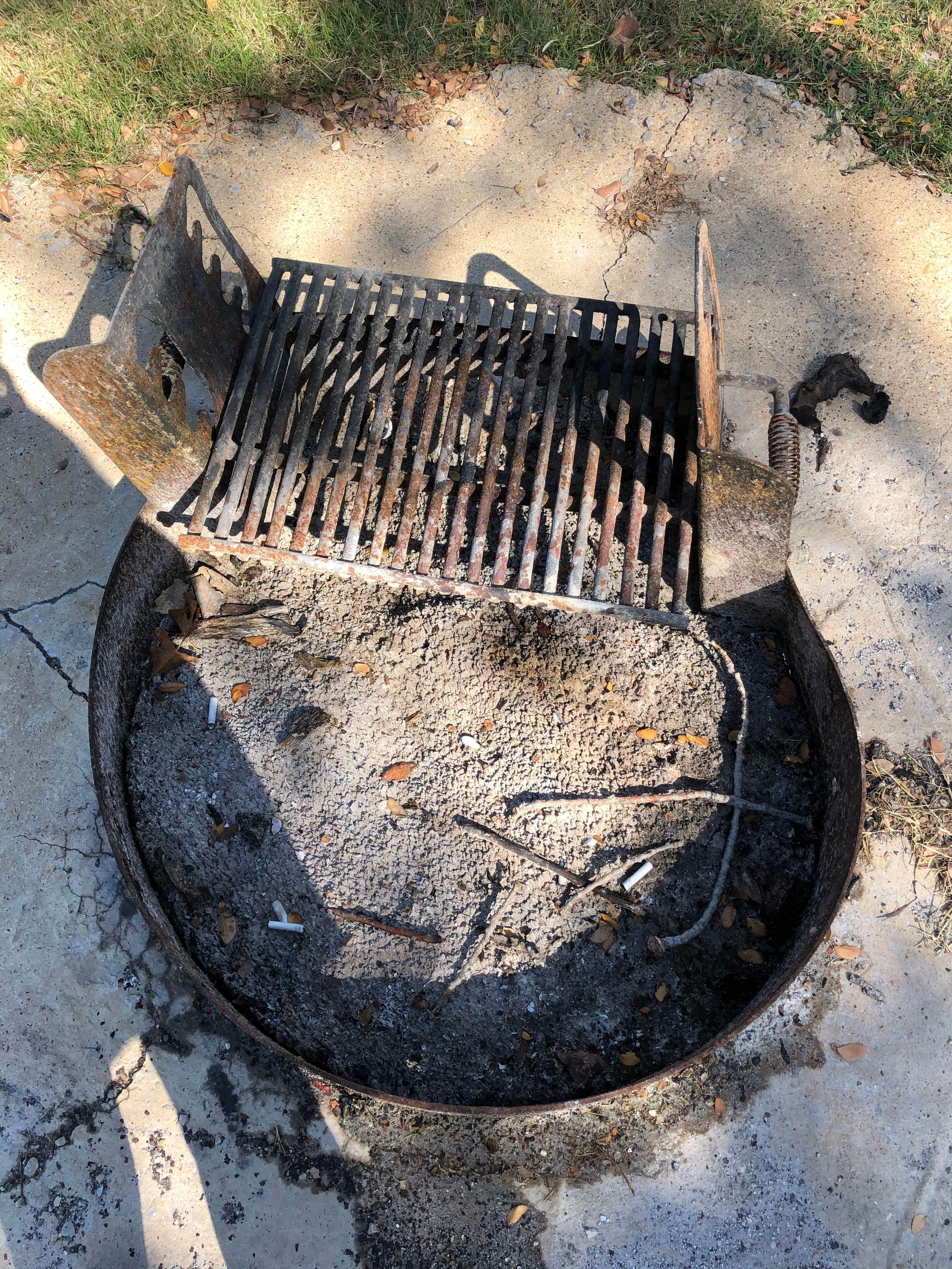 Camper-submitted photo at Willow Grove Park near Addison, TX