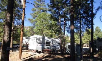 Camping near Black Bart's RV Park: Greer's Pine Shadows RV Park, Flagstaff, Arizona