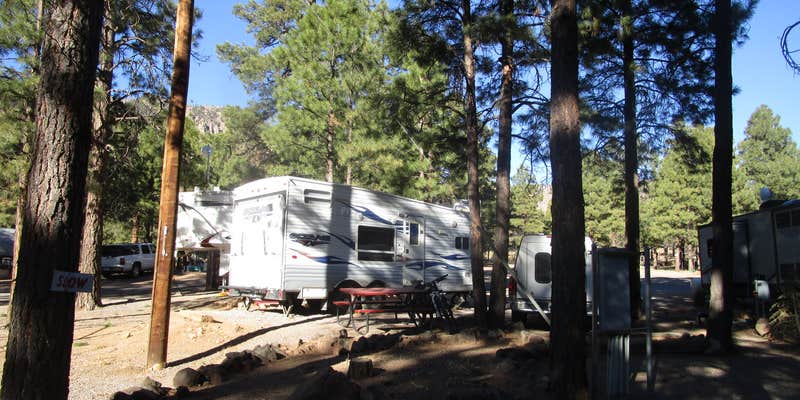 Camper submitted image from Flagstaff RV Park (formally Greer's Pine Shadows RV Park)