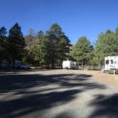 Review photo of Greer's Pine Shadows RV Park by Marcy , December 4, 2020