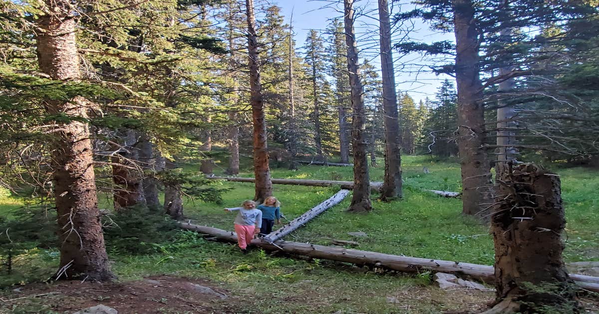 Bear Lake Campground