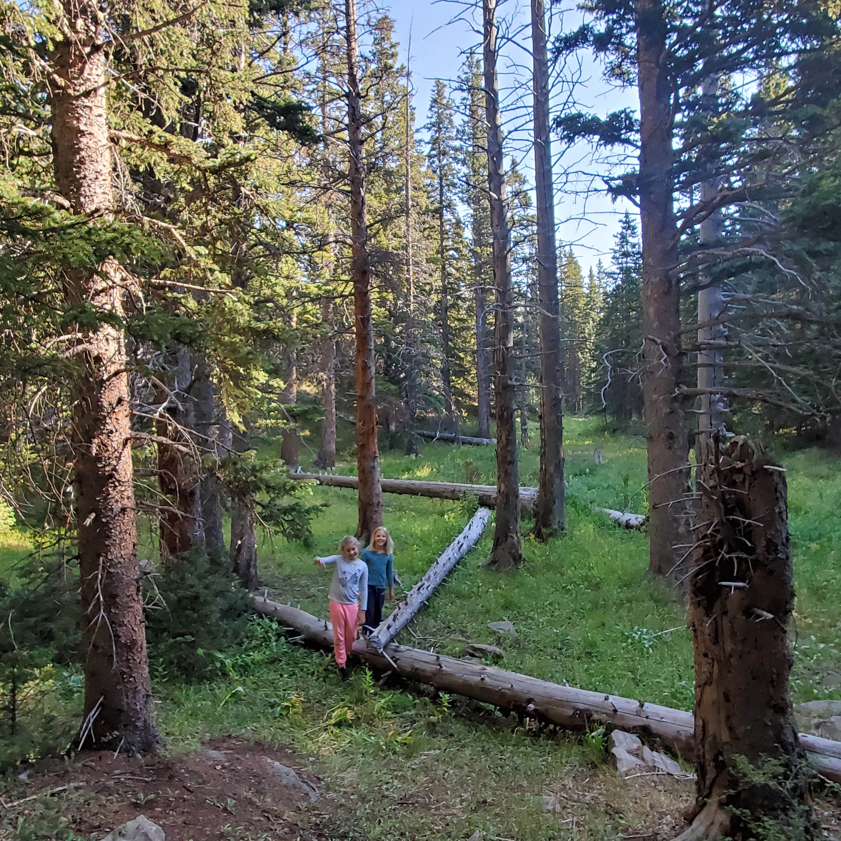 Camper submitted image from Bear Lake Campground - 1