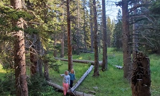 Camping near Flat Tops NW: Bear Lake Campground, Yampa, Colorado