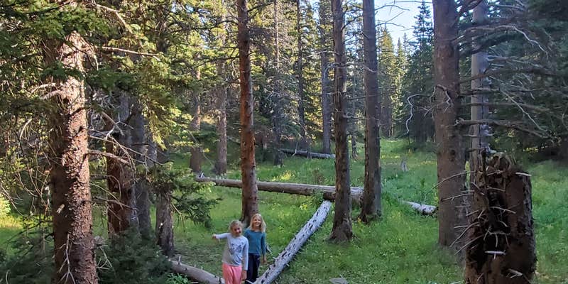 Camper submitted image from Bear Lake Campground