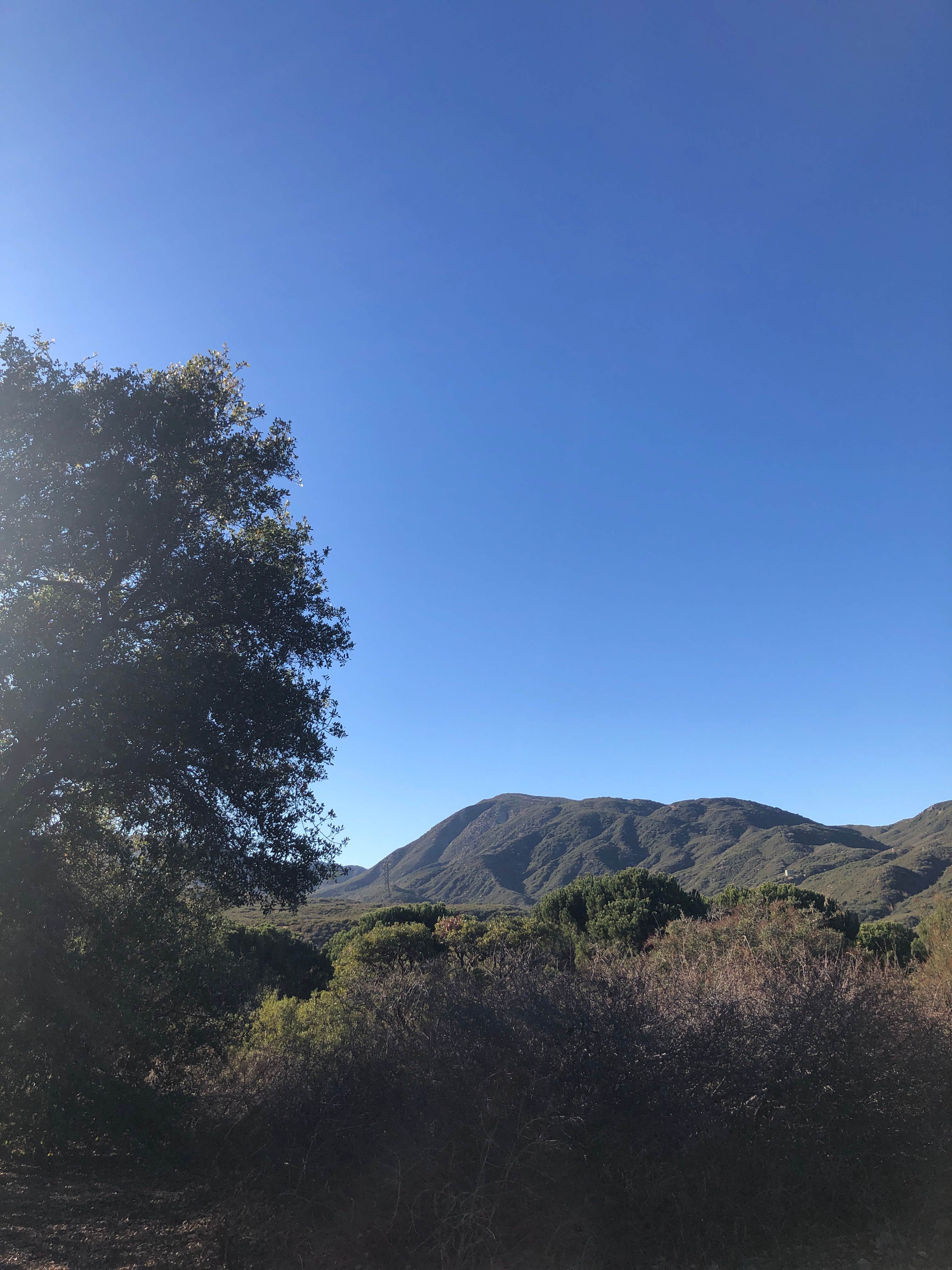 Camper-submitted photo at Mesa Campground — Silverwood Lake State Recreation Area near Mount Baldy, CA
