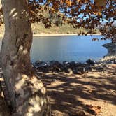 Review photo of Mesa Campground — Silverwood Lake State Recreation Area by Bower , December 4, 2020