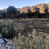 Review photo of Mesa Campground — Silverwood Lake State Recreation Area by Bower , December 4, 2020