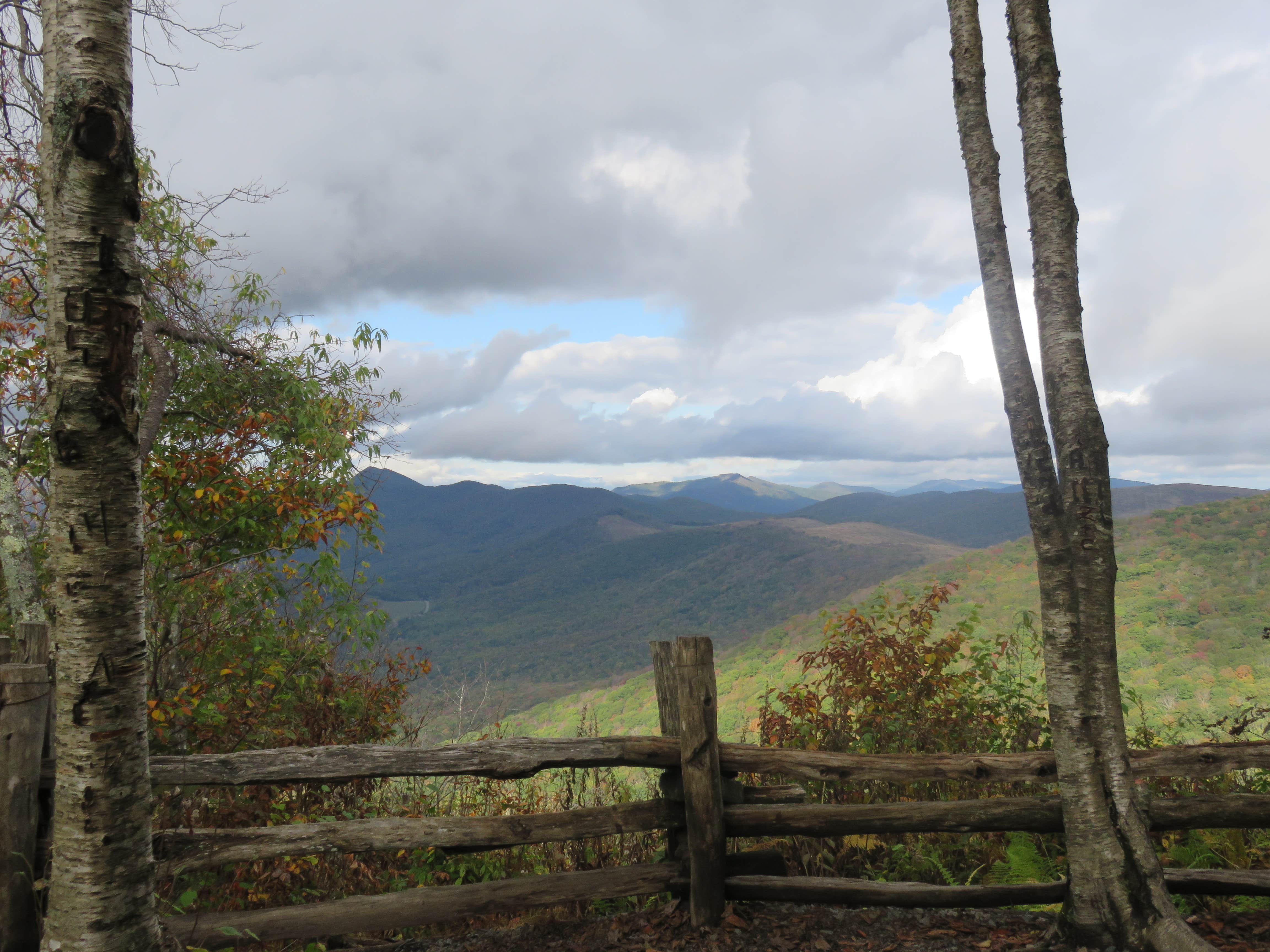 Camper submitted image from Elk Knob State Park Campground - 5